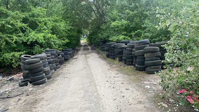 received_2976062049239968