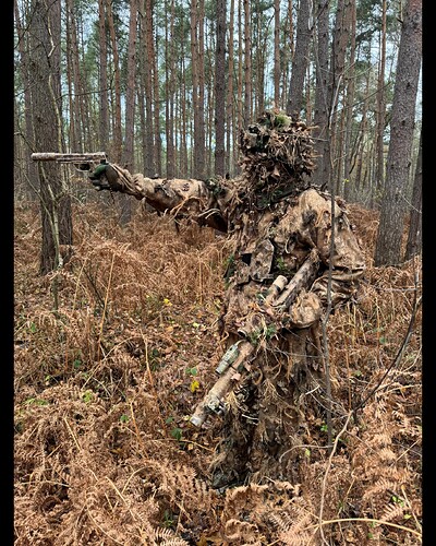 Screenshot_20251021_151728_Gallery