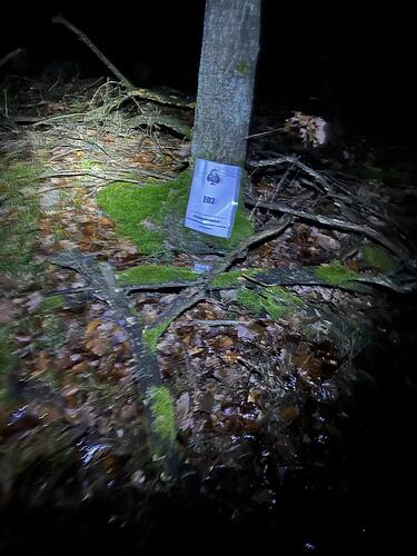 597337954_1390729322436006_8692669642797490162_n