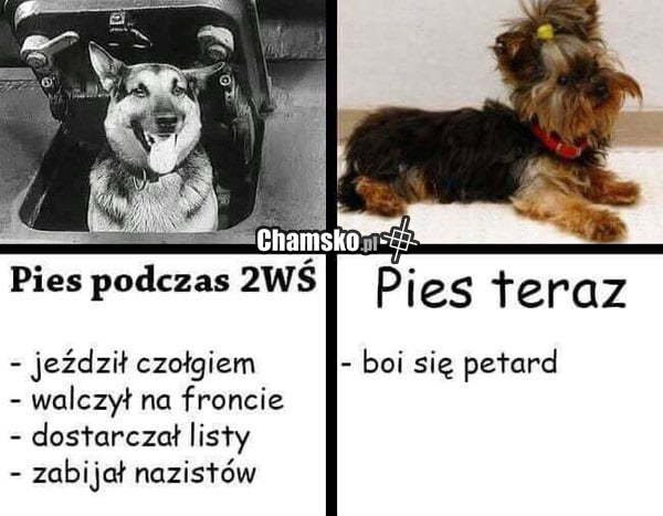 d753dc3b4d490ea8a53237ab3091c6de